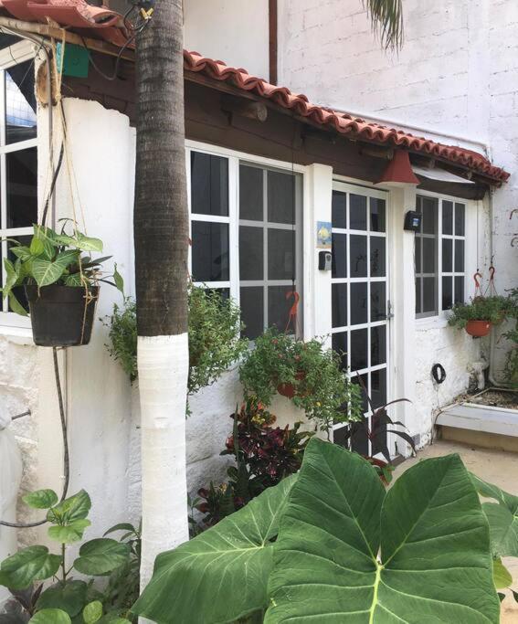 Apartamento Casa Del Buzo Playa del Carmen